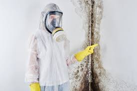 Best Air Quality Testing for Mold Spores  in New Braunfels, TX